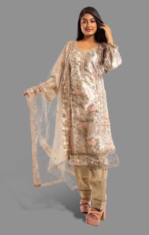 Orgenza silk   salwar kameez set FS03