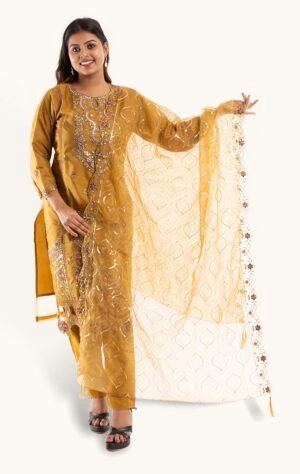 Stylish capsule kurti with pant FS12